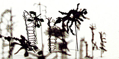 errant behaviors