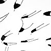 25