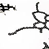 42