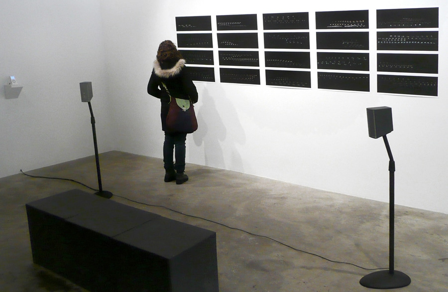 viewer looking at installation of Notations